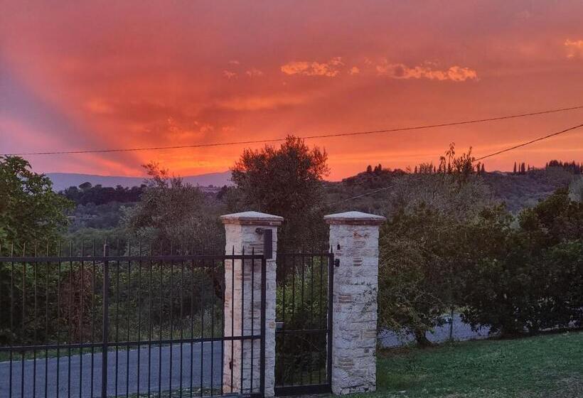 Отель La Collina Degli Ulivi