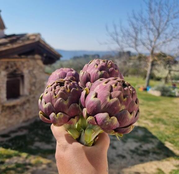 Отель La Collina Degli Ulivi