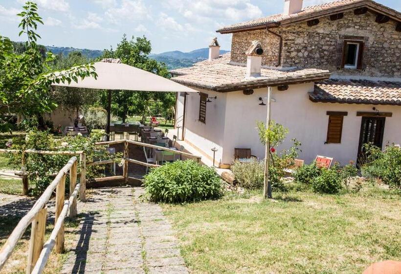 Отель La Collina Degli Ulivi