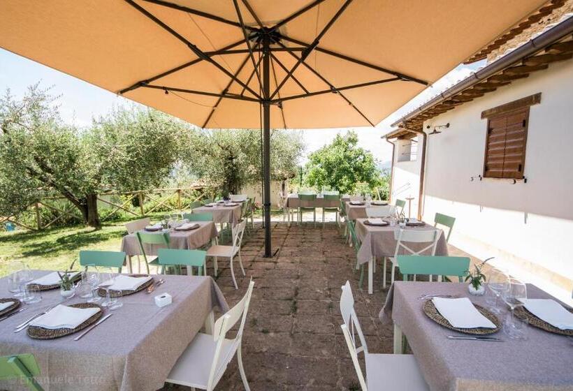 Отель La Collina Degli Ulivi