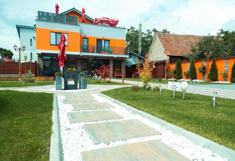 فندق Pensiune Confort Morosanu