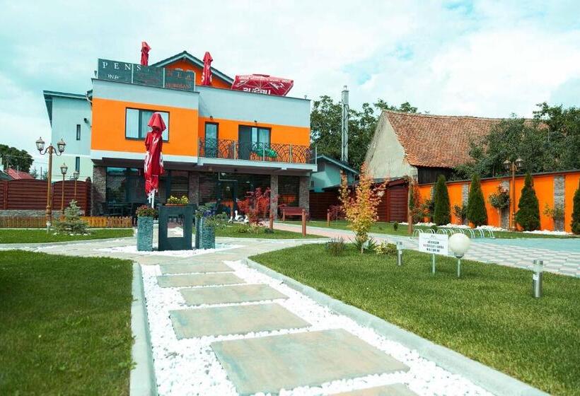 فندق Pensiune Confort Morosanu