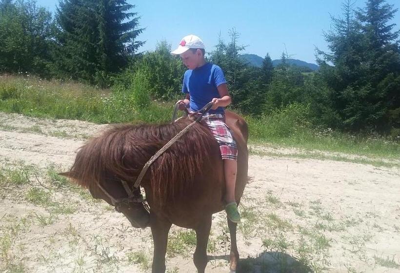 Общежитие Eco Resort Nad Karpatamy