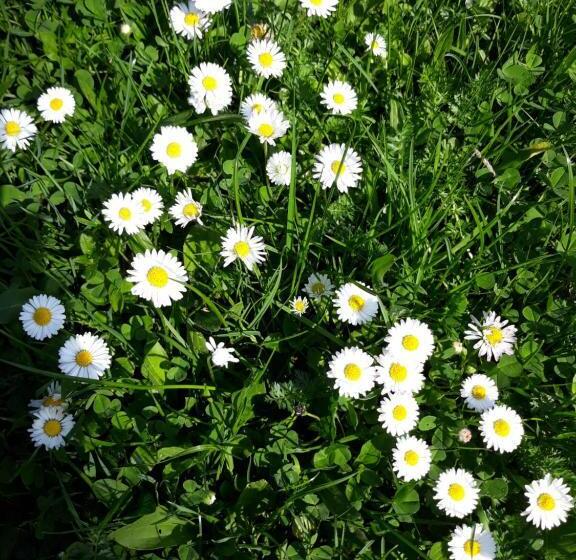 Общежитие Eco Resort Nad Karpatamy