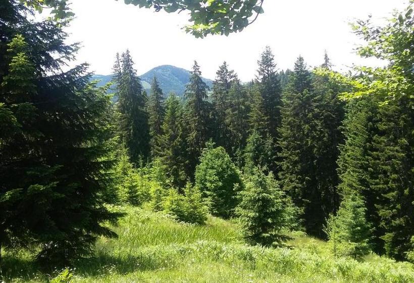 Общежитие Eco Resort Nad Karpatamy