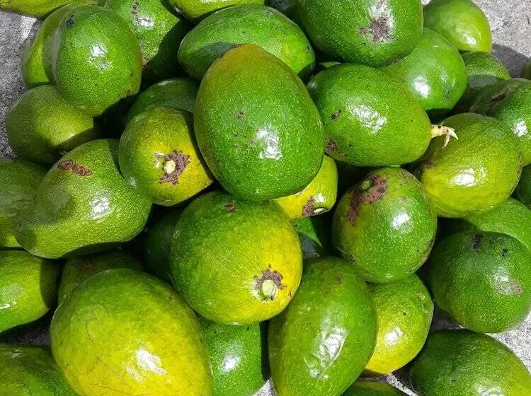 Retkeilymaja Hidden Haven