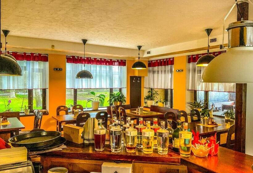 ユースホステル Penzion U Lišáka