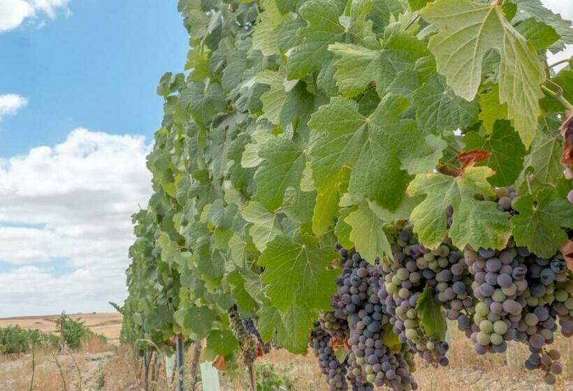 בית מלון כפרי Fontes Bárbaras Enoturismo