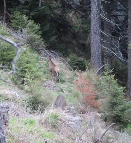 ホテル Locanda La Ruscoletta