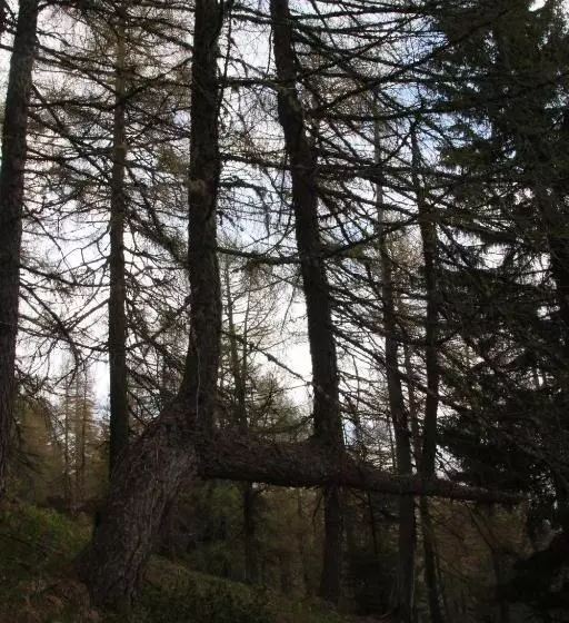 ホテル Locanda La Ruscoletta