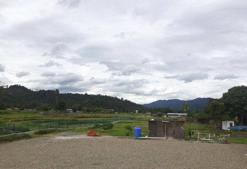 فندق Padi View Resthouse