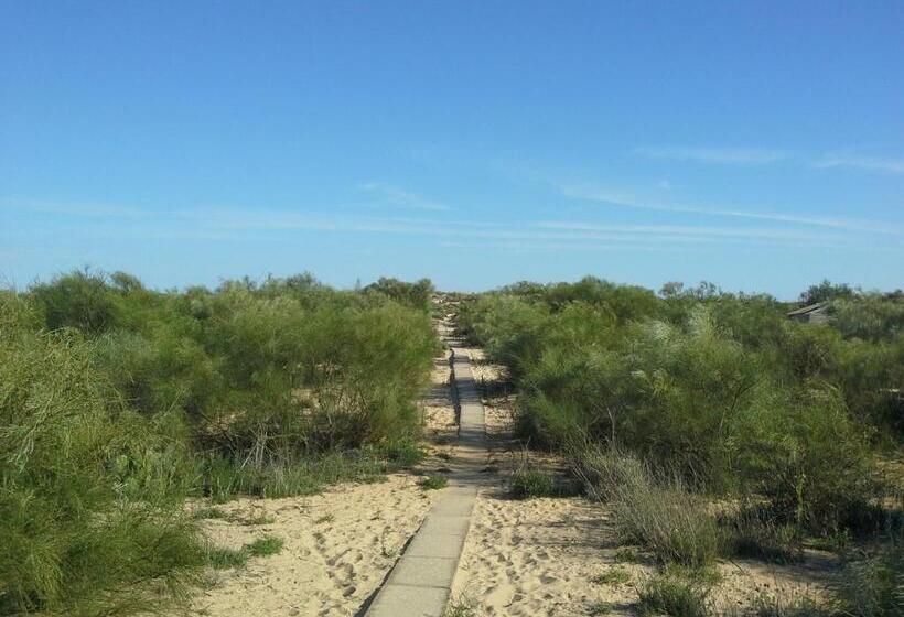 Manta Guest   Bed & Breakfast