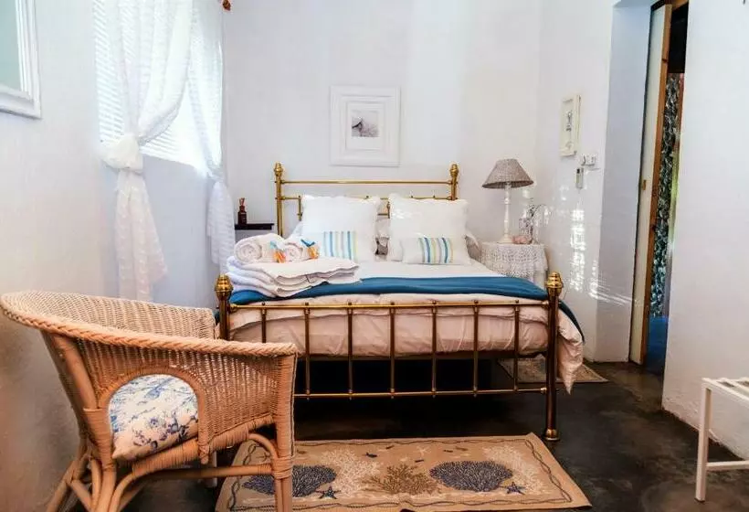 Majatalo Kalahari Camelthorn Guesthouse And Camping