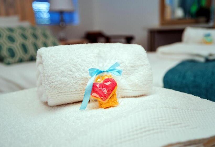 Pension Kalahari Camelthorn Guesthouse And Camping