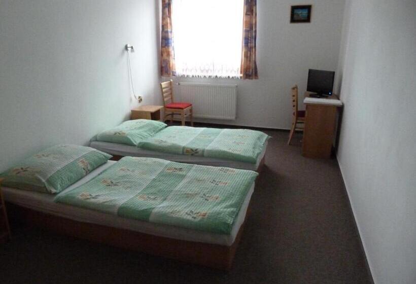 펜션 Penzion U Krumlova