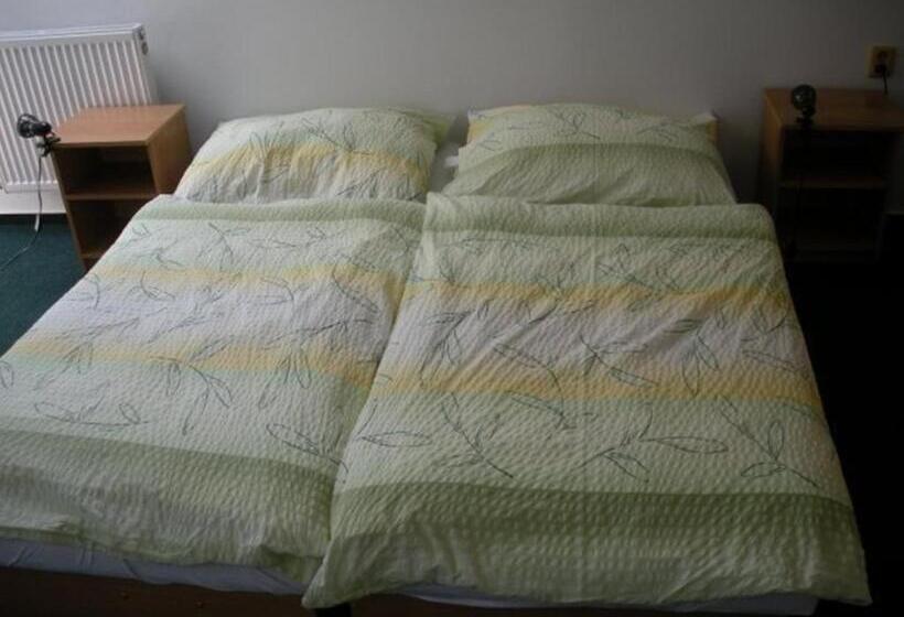 פנסיון Penzion U Krumlova