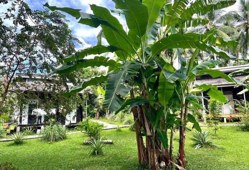 膳宿费 Sanctum Una Una Eco Dive Resort