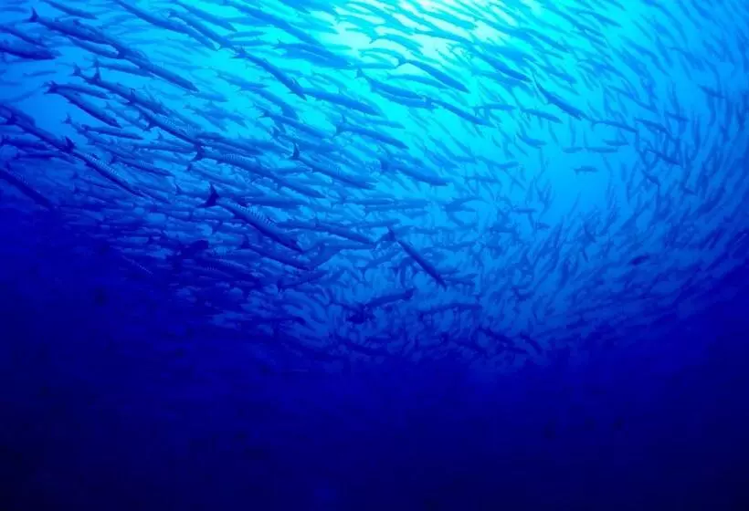 Majatalo Sanctum Una Una Eco Dive Resort