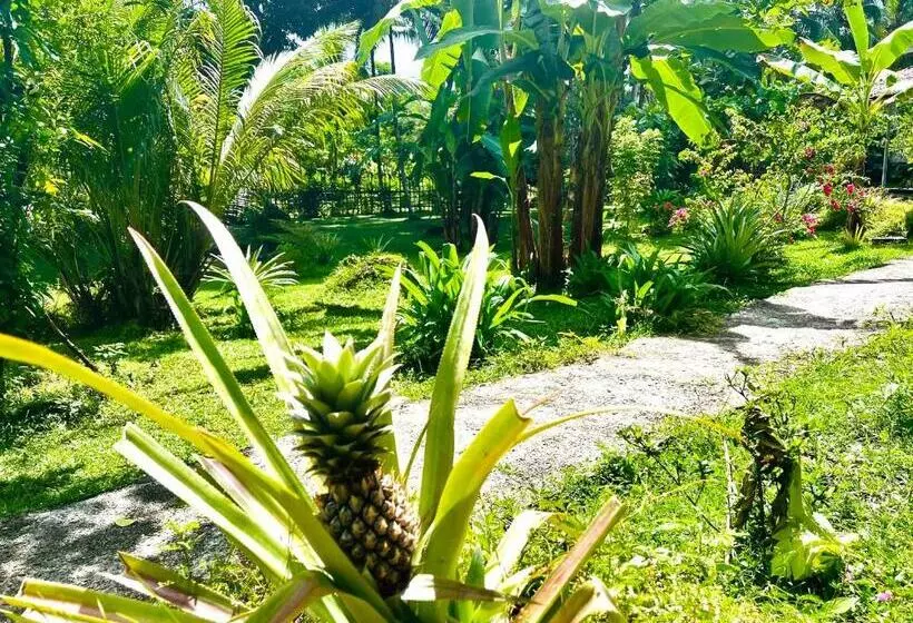 Majatalo Sanctum Una Una Eco Dive Resort