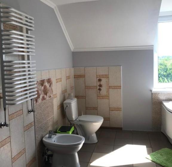 旅馆 Lemkivskiy Hutir