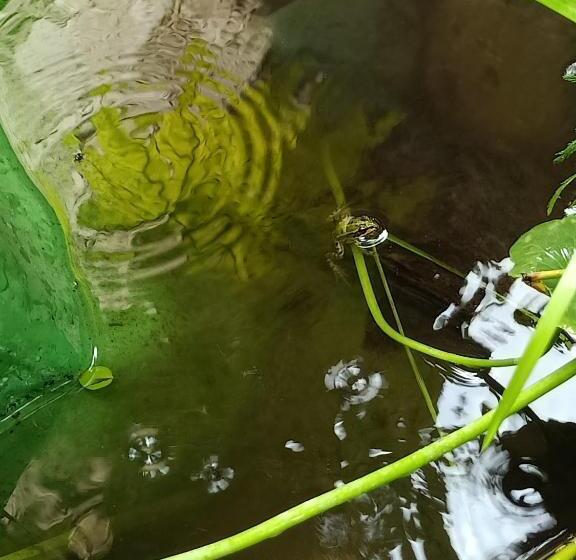 ベッドアンドブレックファースト Rovere Dalla Riva