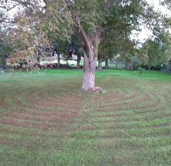 ベッドアンドブレックファースト Beb Infamiglia