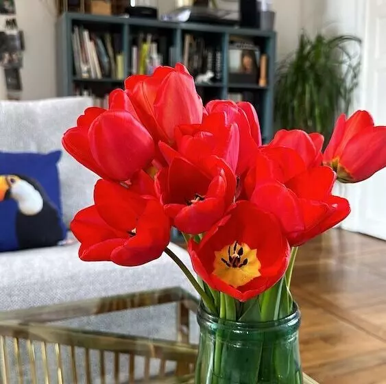 Aamiaismajoitus (B&B) Le Prieure De Buffon