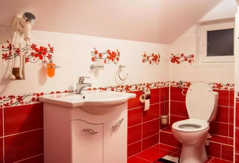 Aamiaismajoitus (B&B) Pensiunea Silvanka