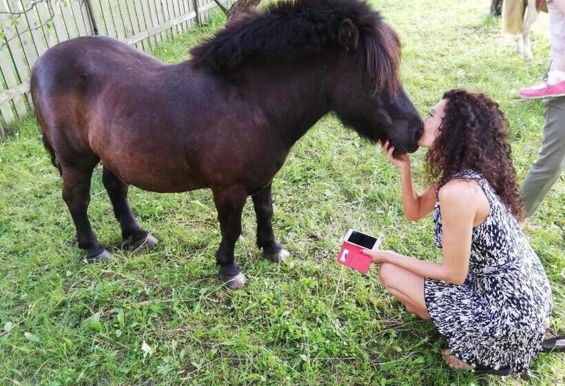 مبيت وإفطار Pensiunea Silvanka