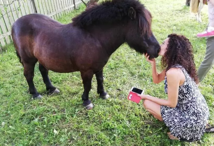 Aamiaismajoitus (B&B) Pensiunea Silvanka