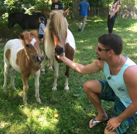 Aamiaismajoitus (B&B) Pensiunea Silvanka