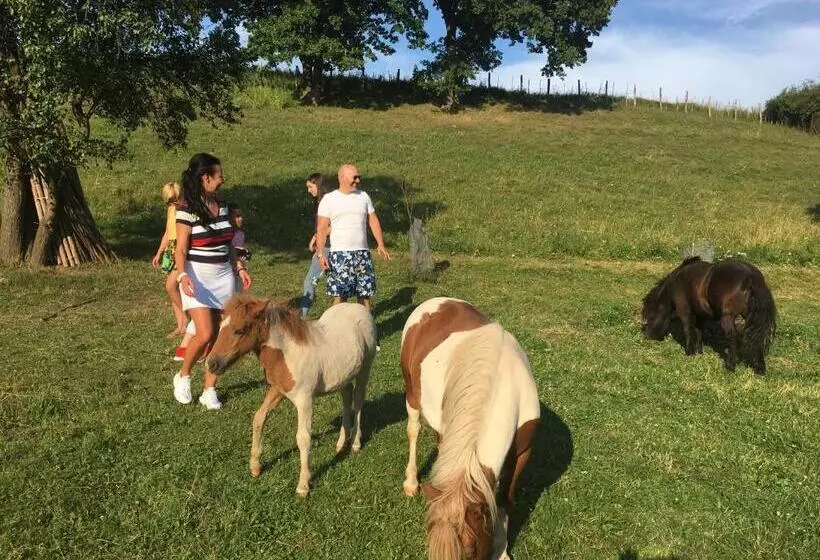 Aamiaismajoitus (B&B) Pensiunea Silvanka