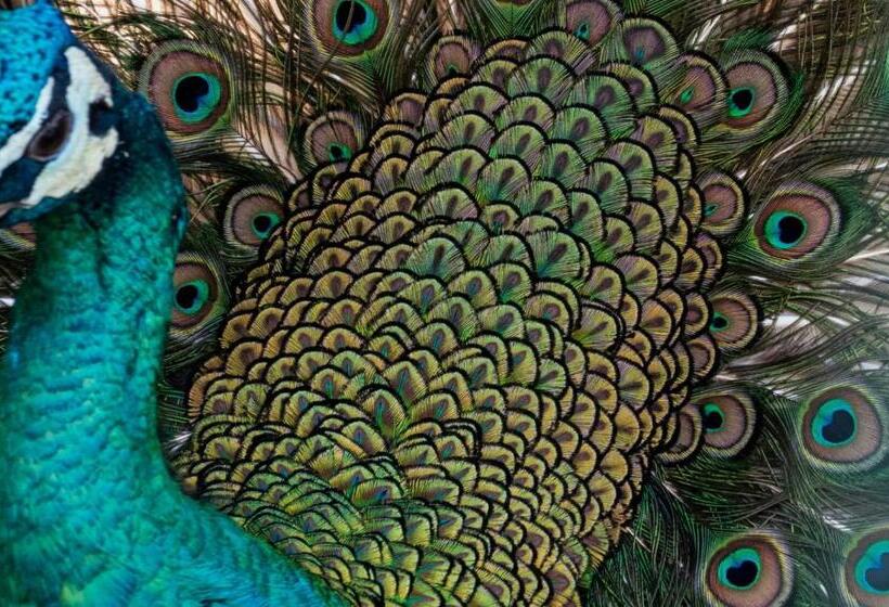 Отель Quinta Da Tapada