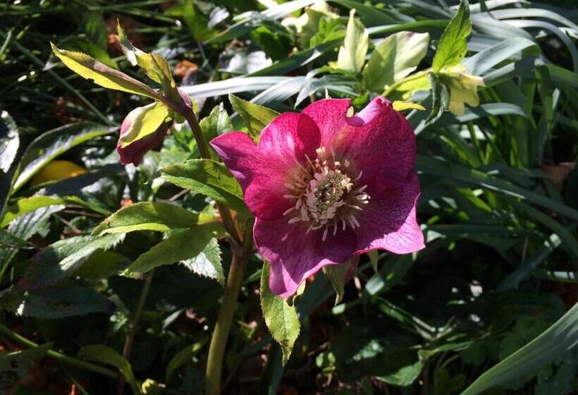 Отель Robin Hoods Well Farm Stay