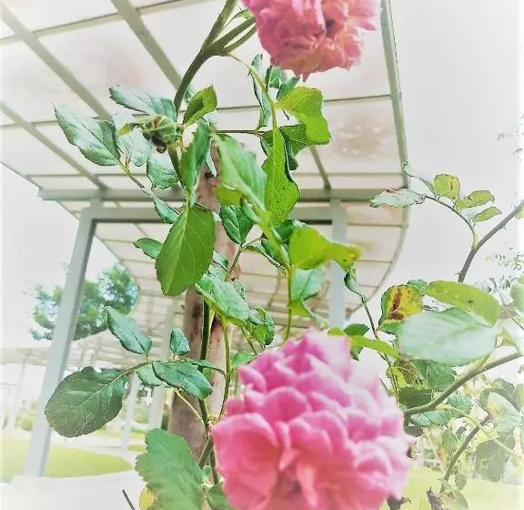 Hotelli The White Garden Premier Saraburi