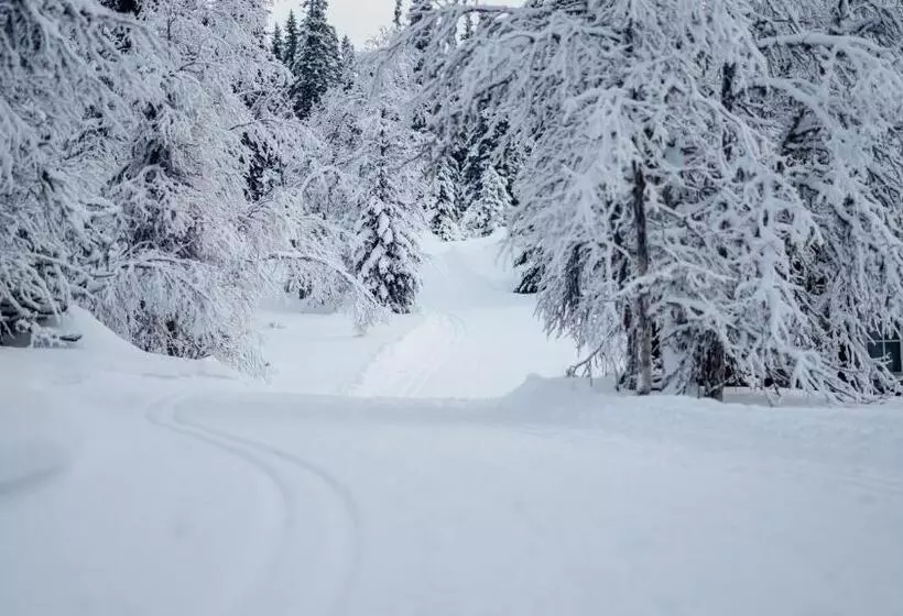 Lövåsgårdens Fjällhotell