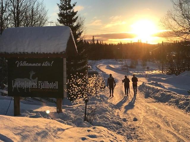 Lövåsgårdens Fjällhotell