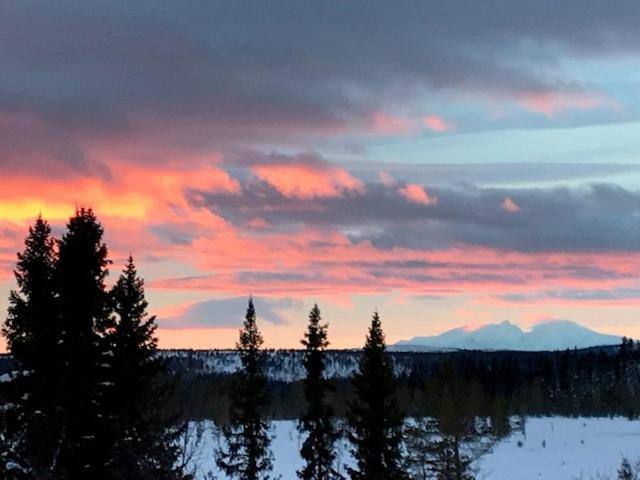 Lövåsgårdens Fjällhotell