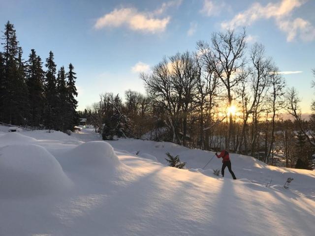 Lövåsgårdens Fjällhotell