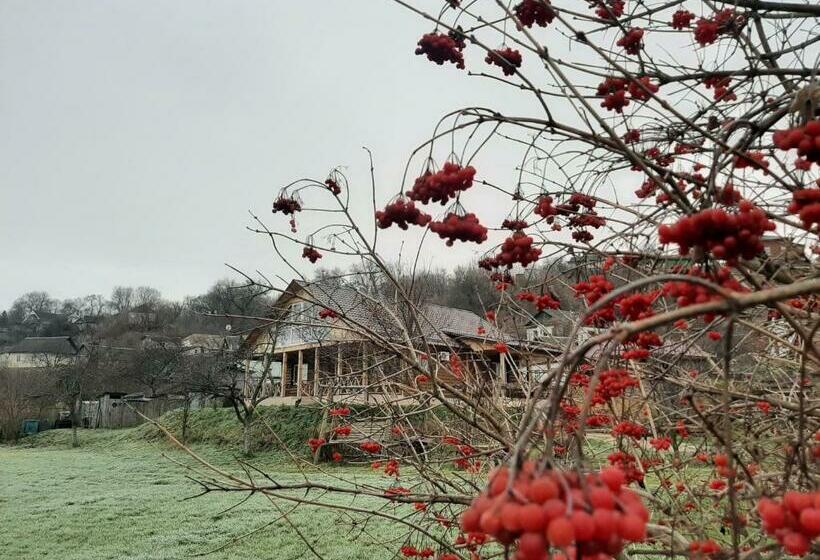 פנסיון гостьовий дім на герцена Guest Hous On Gertsena