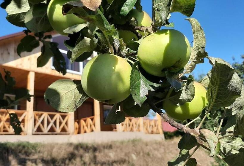 פנסיון гостьовий дім на герцена Guest Hous On Gertsena