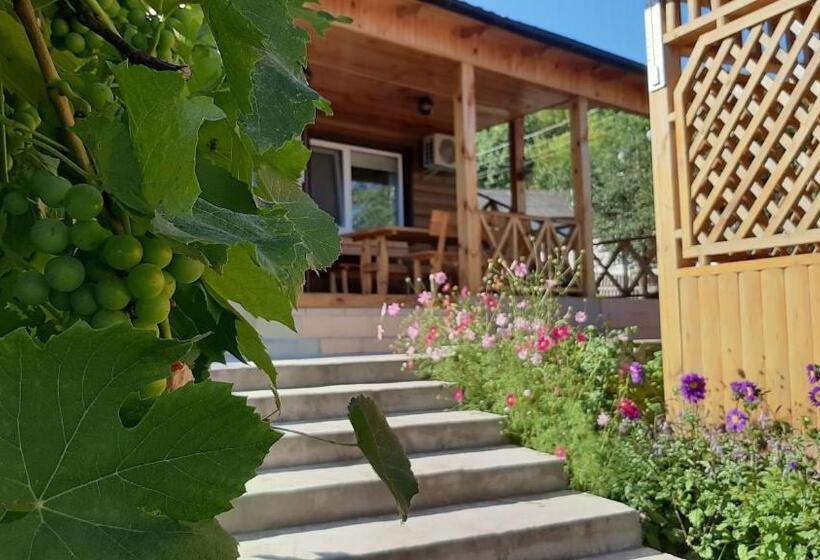 פנסיון гостьовий дім на герцена Guest Hous On Gertsena