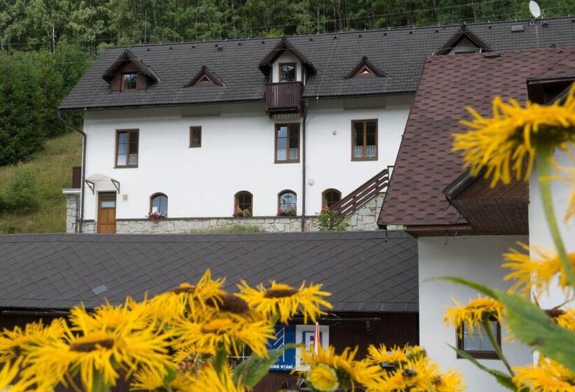 Pensionat Penzion Skiland Petříkov