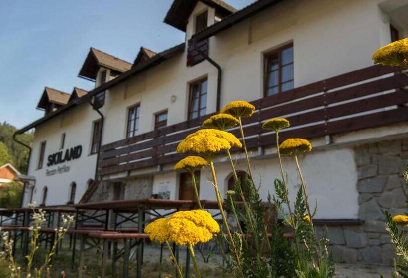 Pensionat Penzion Skiland Petříkov