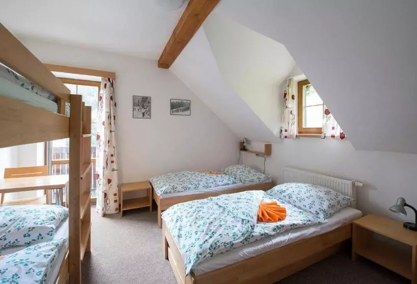 ペンション Penzion Skiland Petříkov