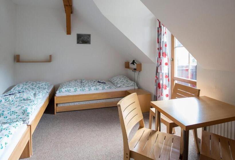 Pensionat Penzion Skiland Petříkov