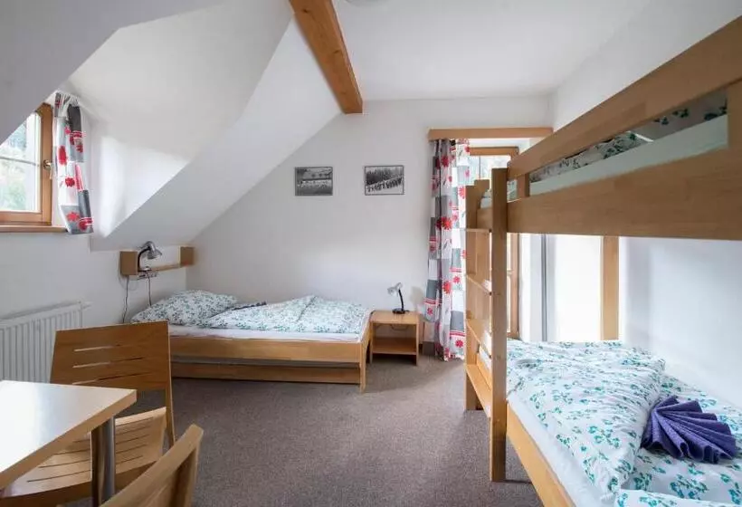 ペンション Penzion Skiland Petříkov