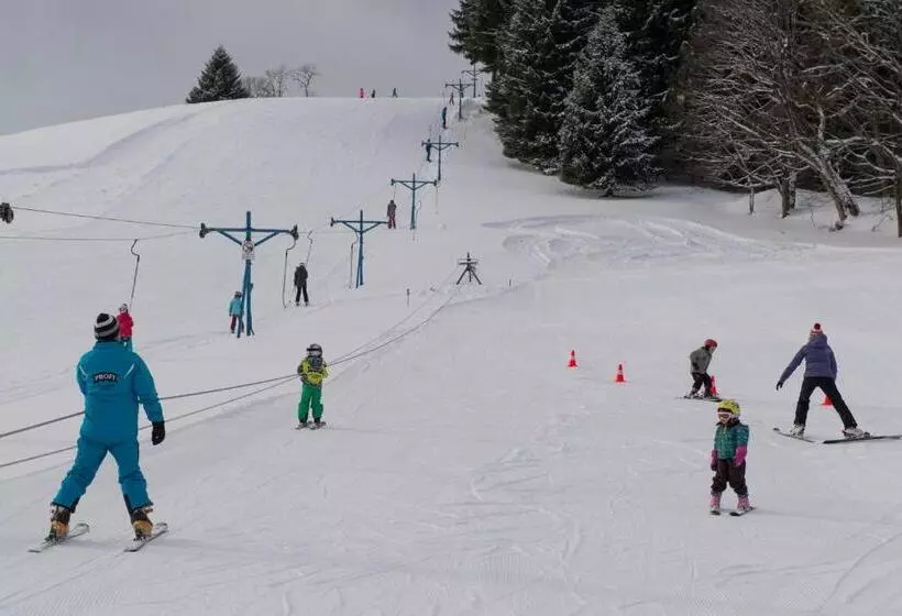 ペンション Penzion Skiland Petříkov