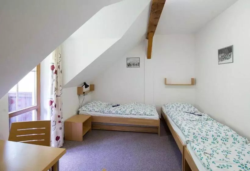 ペンション Penzion Skiland Petříkov