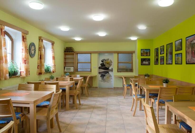 Pensionat Penzion Skiland Petříkov